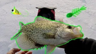 Hammer City on Giant crappies!! (INSANE BITE)