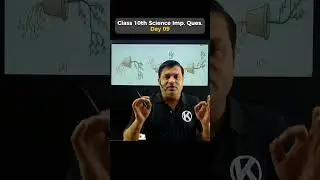 Tropism Science 10th D-9 #share #shorts #science #class10th #explore #exam #education #cbse #board