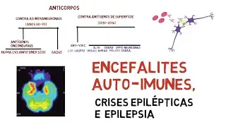 Crises epilépticas e Epilepsias auto-imunes
