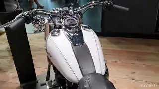 HARLEY DAVIDSON NEW MOTORCYCLES AT BRUSSELS MOTOR SHOW 2020
