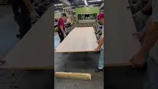 Making a plywood panel #shorts #youtubeshorts #woodveneer