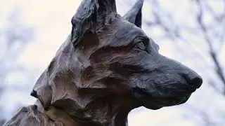 Public Art Profiles: 