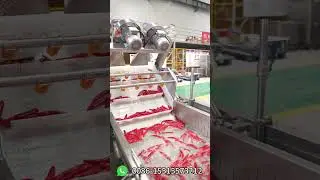 🌶What Is The Process of Making Chili Sauce?Chilli Sauce Making Machine