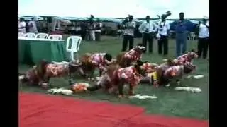 NIGERIAN DANCES