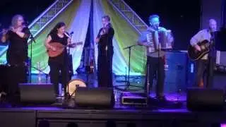 Allan Yny Fan@The Great British Folk Weekend 2013