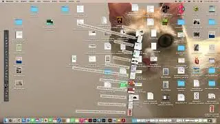 abbondanze e file per la stampa