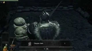 Dark Souls 3 - Irrhyll Dungeon - Unlocking Siegward's Cell (Titanite Slab/Gold Serpent Ring)