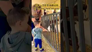 TJ在农场喂动物，全程认真又可爱! TJ Feeding Farm Animals for the First Time 🥹🐄