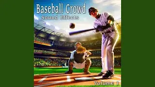 Wood Baseball Bat Hit Ball with Crack and No Decay Take 1