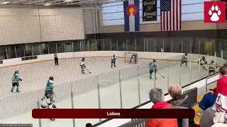 Lobos @ UC Boulder (2026.01.17)
