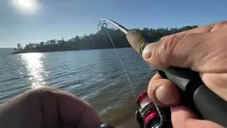 Trout fishing 2021 NON STOP brook trout hookups (SLAY FEST)