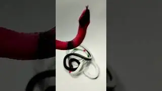 Лучшие резиновые игрушки-змеи для розыгрышей #shortsfeed #shorts #prank #viral