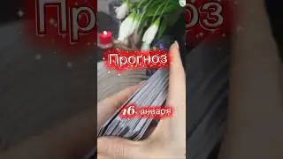 Советы карт на 16 января ‼️#таро #руны #оракул #актив #ховуврек #shorts #shortvideo #tarot #топ