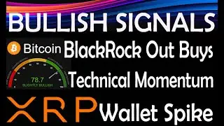 Ripple использует USDT и USDC, BlackRock 11K+ BTC, резкий рост кошельков XRP, JP Morgan выпускает предупреждение