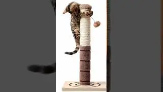 Scratching Post Selection: A Cat Owner's Guide