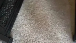 Carpet cleaning in Round Rock Texas.