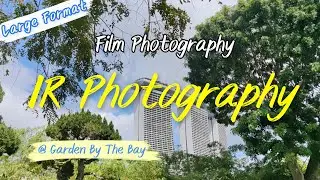 IR Photography @ Garden By The Bay