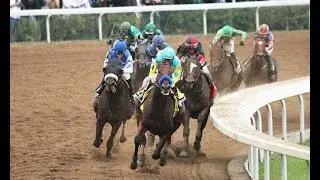 Gates Open at Arapahoe Park - 2015 Horse Racing Year in Review