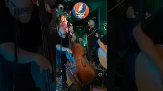 JNS & Friends #gratefuldead #inspired #guitar #electricviolin #doublebass #shorts For Bobby
