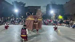 LLE&Oacute; de BARCELONA - Trobada de Bestiari de l'&Ograve;liba de Nav&agrave;s 2025