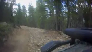 Arapaho Forest 2
