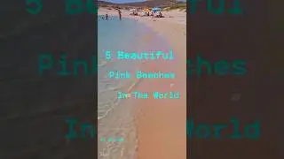 5 Beautiful Pink Beaches in the World  🌏 🌊 | #shorts #SkyLoom #pinkbeach #beach