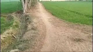 90 Bigha Land For Sale with 2 Tubewells in Dist: Shahjahanpur .UP MB: 9815934548 , 7017202312.