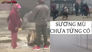Bản Tin Video Các Sư Nhỏ & Thầy MINH TUỆ Tu Hành Tại LUMBINI Sáng nay 