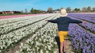 Family Trip to  Lisse Tulips (Netherlands)