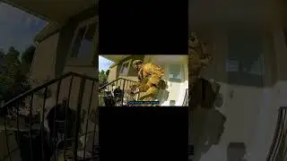 POLICE CAUGHT THE CRIMINAL AT HIS HOUSE