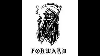 Forward Observation Group edit