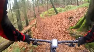 MTB Reichswald (Milsbeek & Kleve)