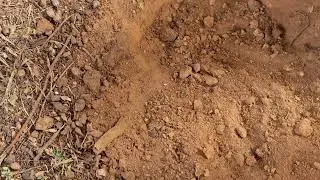 Detecting in Adelaide.. A thrashed park. Did we find anything valuable though?