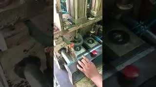 Water plant technology #machine #howtomakedrillmachine #chatni #waterplant autotrophs #automobile