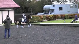 Michael Eilberg | Collecting up your canter | HorseandRider UK