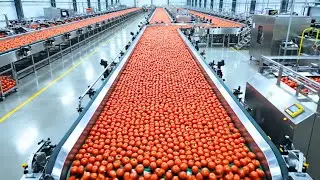 Inside a Modern Ketchup Factory - Step-by-Step Production Process (Full Process)