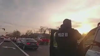 Video shows Elk Grove Police shoot toward suspect in Rancho Cordova homicide