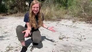 Why is it called Sugar Sand Park?