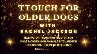 Tellington TTouch for Older Dogs