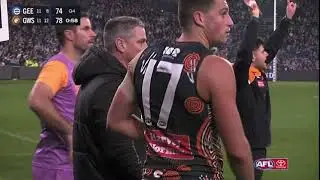 Leek aleer gws21