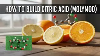 How to Build Citric Acid Using Molymod | Organic Chemistry Made Easy