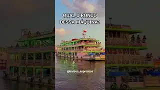 FERRYBOAT DENISE COIMBRA #barcos #manaus #amazonas #Brasil #belem #par&aacute; #ferryboat