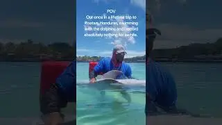 Roatan, Honduras dolphin encounter and swim. August 2022
