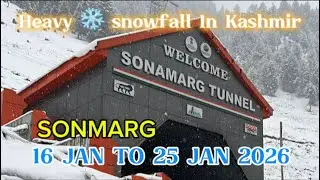 Heavy Snowfall In Kashmir Sonmarg ❄️ #snowfall #mountains #whowillbemylifepartnerta #foryou #gulmarg
