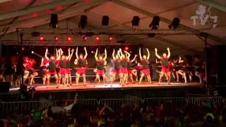 Pompom ENSAT IA Rennes 2014