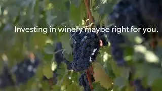 Winery Franchise