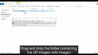 Create 3D input files from 2D image, binarize grey-scale input | MIST