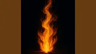 Burn It Down