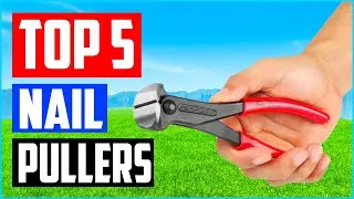 Top 5 Best Nail Pullers in 2025