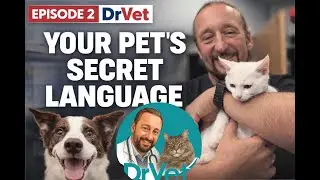 Dogs and Cats Are Talking to You Every Day &mdash; Here's What They're Saying